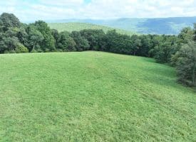 129.93 Ac Off Strawderman Road, Mathias, WV 26812