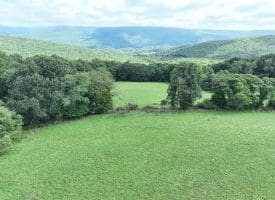 129.93 Ac Off Strawderman Road, Mathias, WV 26812
