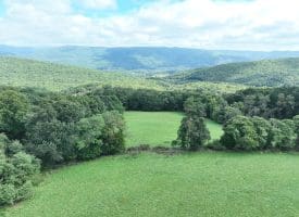 129.93 Ac Off Strawderman Road, Mathias, WV 26812