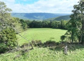 129.93 Ac Off Strawderman Road, Mathias, WV 26812