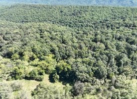 Lot 205 Graces Cabin Road, Springfield, WV 26763