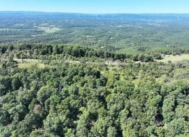 Lot 205 Graces Cabin Road, Springfield, WV 26763