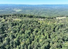 Lot 205 Graces Cabin Road, Springfield, WV 26763