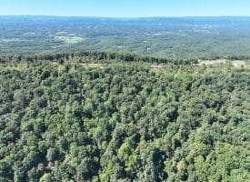 Lot 205 Graces Cabin Road, Springfield, WV 26763
