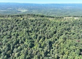 Lot 205 Graces Cabin Road, Springfield, WV 26763