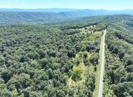 Lot 205 Graces Cabin Road, Springfield, WV 26763