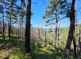 Lot 75 Hunters Ridge Trl., Moorefield, WV  26836