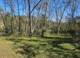 Parcel B Dawn View Dr., Fort Ashby, WV  26719