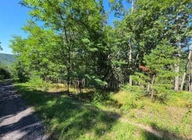 Lot 75 Hunters Ridge Trl., Moorefield, WV  26836