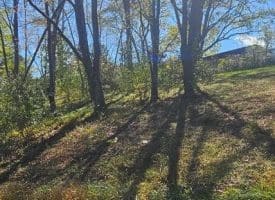 Parcel B Dawn View Dr., Fort Ashby, WV  26719