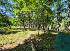 Lot 75 Hunters Ridge Trl., Moorefield, WV  26836
