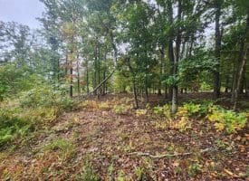 Lot 17 Quaker Lake Trl., Capon Bridge, WV  26711