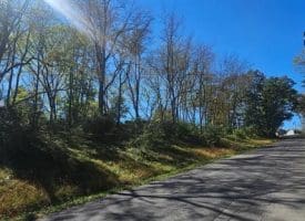 Parcel B Dawn View Dr., Fort Ashby, WV  26719