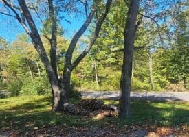 Parcel C Dawn View Dr., Fort Ashby, WV  26719