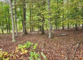 Lot 17 Quaker Lake Trl., Capon Bridge, WV  26711