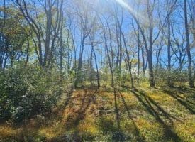 Parcel B Dawn View Dr., Fort Ashby, WV  26719