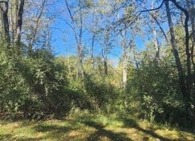 Parcel C Dawn View Dr., Fort Ashby, WV  26719