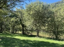 Lot 20-24 River Rat Dr., Springfield, WV  26763