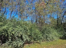 Parcel C Dawn View Dr., Fort Ashby, WV  26719
