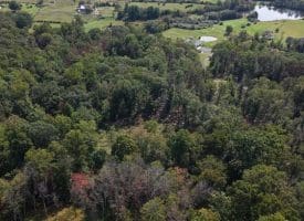 Lot 17 Quaker Lake Trl., Capon Bridge, WV  26711