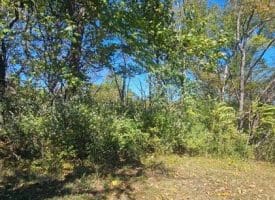 Parcel C Dawn View Dr., Fort Ashby, WV  26719