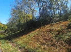 Parcel C Dawn View Dr., Fort Ashby, WV  26719