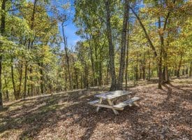 68.79 Ac Harness Run Road, Burlington, WV 26710