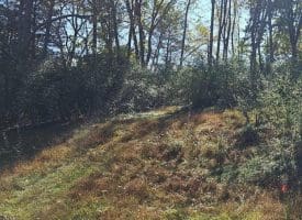 Parcel C Dawn View Dr., Fort Ashby, WV  26719