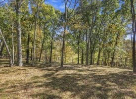 68.79 Ac Harness Run Road, Burlington, WV 26710