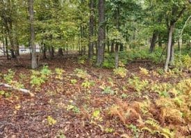 Lot 17 Quaker Lake Trl., Capon Bridge, WV  26711