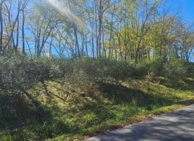 Parcel C Dawn View Dr., Fort Ashby, WV  26719