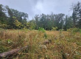 Lot 17 Quaker Lake Trl., Capon Bridge, WV  26711
