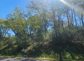 Parcel C Dawn View Dr., Fort Ashby, WV  26719