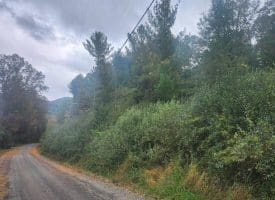 Lot 3 Wildlife Dr., Lost City, WV  26810