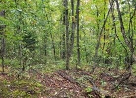 Hawks Way, Delray, WV  26714