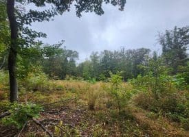 Lot 17 Quaker Lake Trl., Capon Bridge, WV  26711