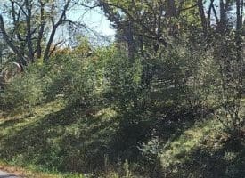 Parcel C Dawn View Dr., Fort Ashby, WV  26719