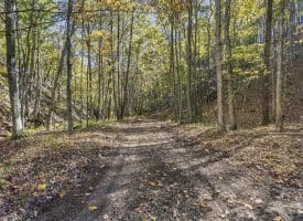 68.79 Ac Harness Run Road, Burlington, WV 26710