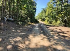 Lot 12 – Pine Ridge Rd Ext, Wardensville, WV