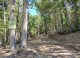 Lot 12 – Pine Ridge Rd Ext, Wardensville, WV