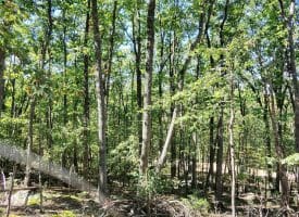 Lot 12 – Pine Ridge Rd Ext, Wardensville, WV