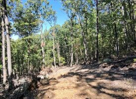 Lot 12 – Pine Ridge Rd Ext, Wardensville, WV