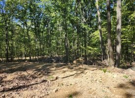 Lot 12 – Pine Ridge Rd Ext, Wardensville, WV