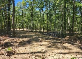 Lot 12 – Pine Ridge Rd Ext, Wardensville, WV
