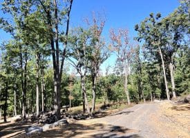 Lot 13 – Pine Ridge Rd EXT, Wardensville, WV