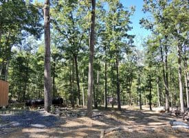 Lot 13 – Pine Ridge Rd EXT, Wardensville, WV