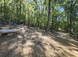 Lot 13 – Pine Ridge Rd EXT, Wardensville, WV