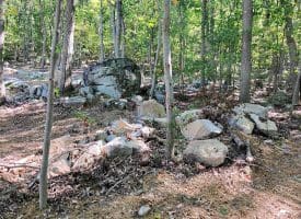 Lot 13 – Pine Ridge Rd EXT, Wardensville, WV