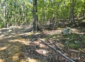 Lot 13 – Pine Ridge Rd EXT, Wardensville, WV