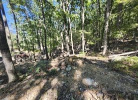 Lot 13 – Pine Ridge Rd EXT, Wardensville, WV